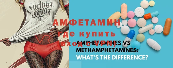 шишки Аркадак