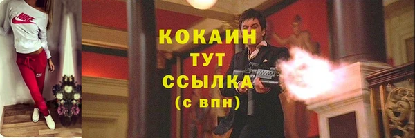 шишки Аркадак