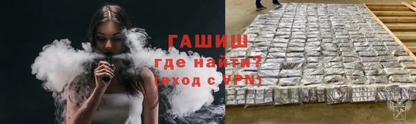 шишки Аркадак
