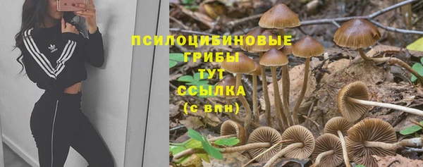 мяу мяу кристалл Армянск