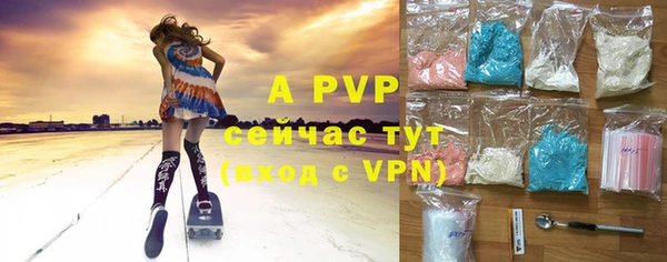 шишки Аркадак