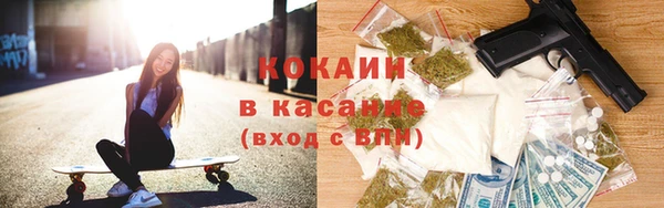 шишки Аркадак